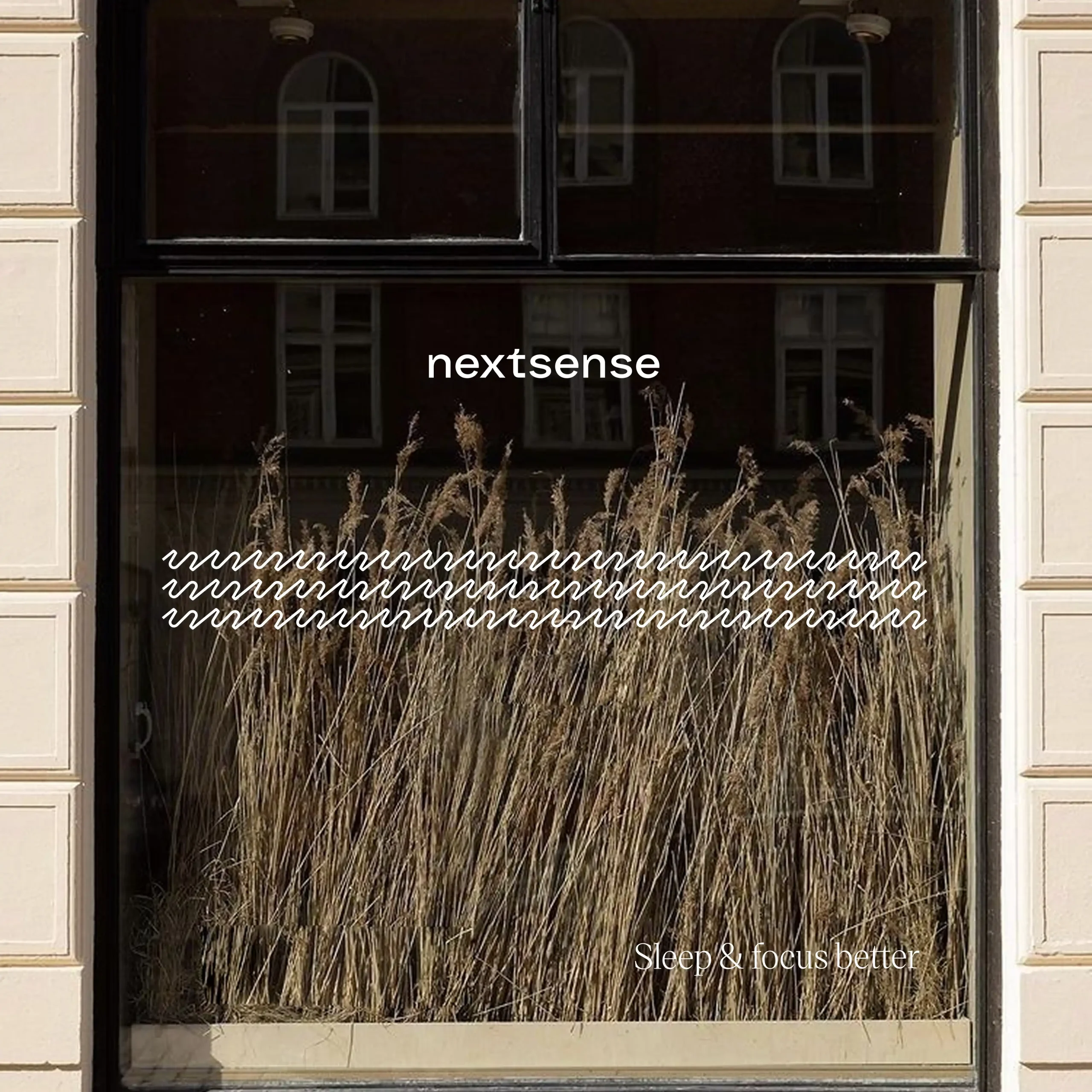 nextsense-image-of-storefront